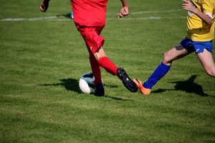 国家女篮训练日程公开每日训练内容紧张高效，国家队女篮在哪里训练